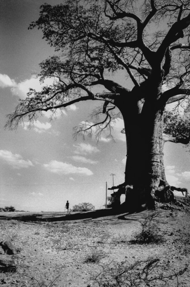Read more about the article Ernst Schade e Carol Alexander Schade I ÁFRICA VISTA POR DUAS GERAÇÕES, 1938-1995