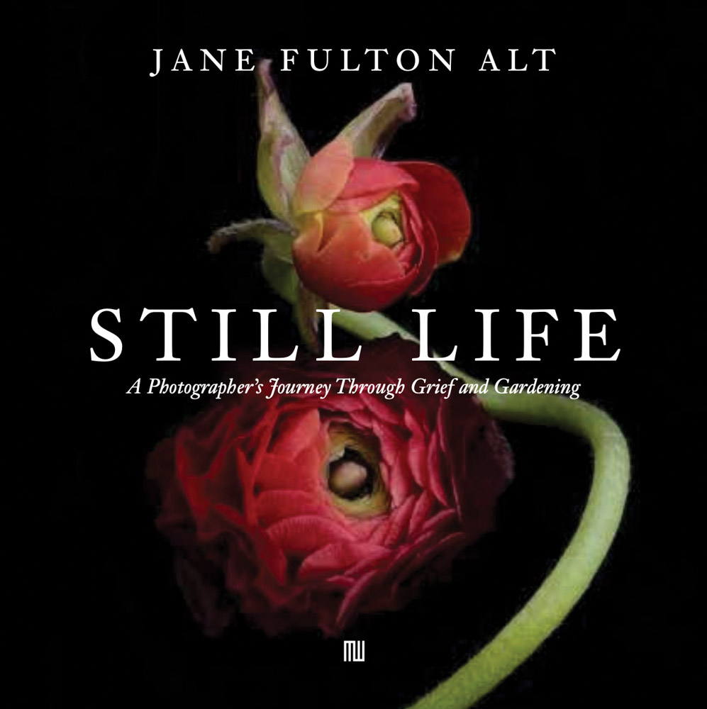 Read more about the article Jane Fulton Alt: Still Life